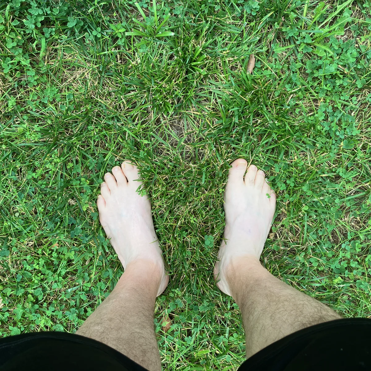 Thad's bare feet standing in green grass.