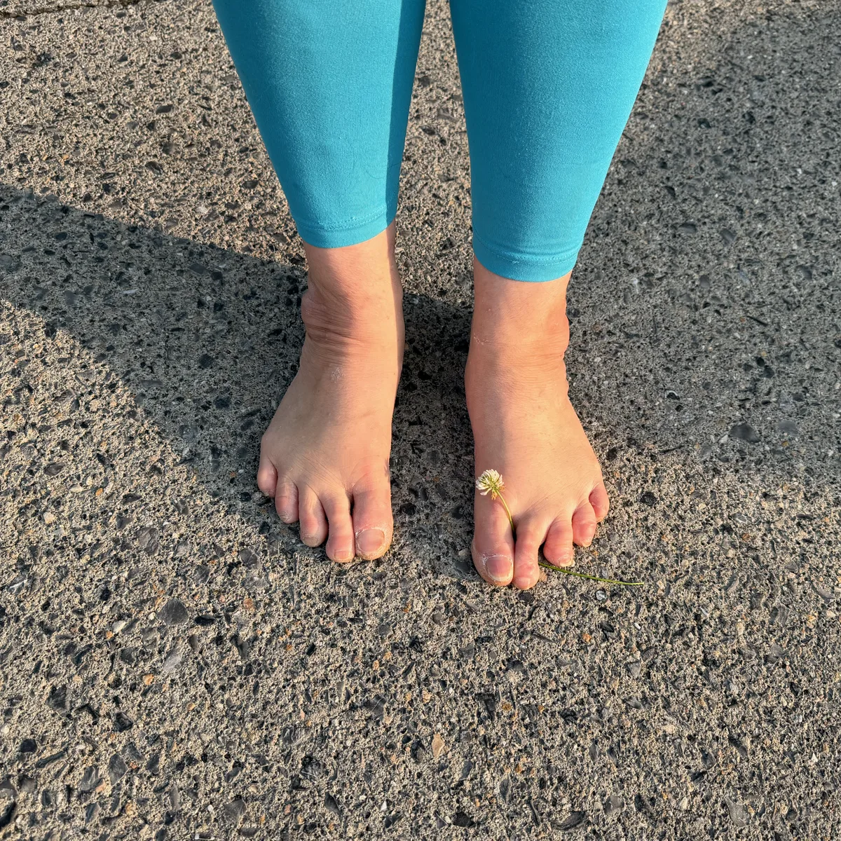 Jolynn's bare feet on pavement with a small white clover flower tucked between her toes.
